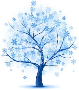 18599467-winter-tree.jpg